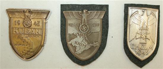 A German Third Reich Demjansk arm shield badge,